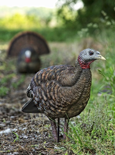 Turkey Decoy Strategies-Ten questions with expert turkey hunter, Matt Morrett