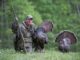 Turkey Decoy Strategies-Ten questions with expert turkey hunter, Matt Morrett