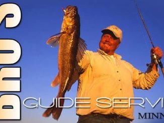 Walleye Seminars By Brian Brosdahl