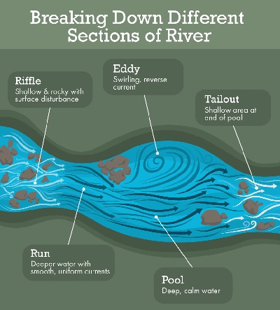 Where To Find Trout