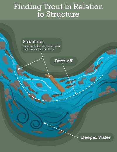 Where To Find Trout