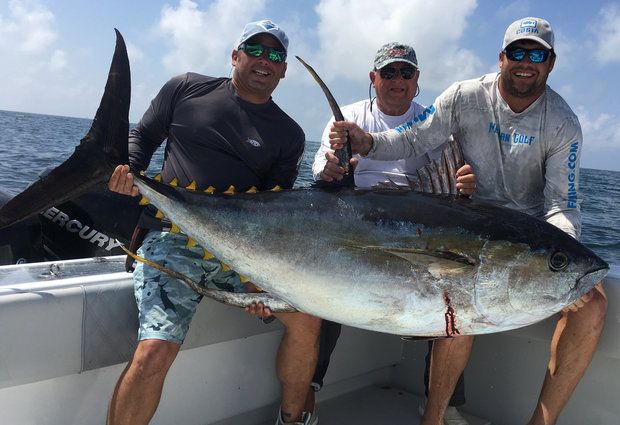 Record-book yellowfin tuna caught by Venice angler