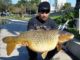 50-Pound Carp In The Middle Of Los Angeles