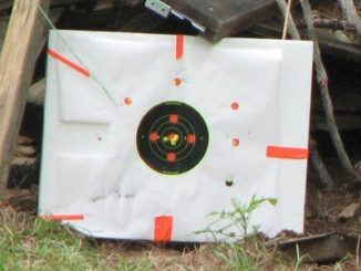 A back yard 22 range