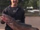 Another Catfish Record Catch, Now From Flagstaff AZ
