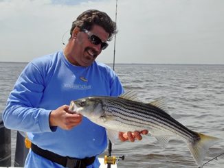 How To Catch The First Spring Stripers