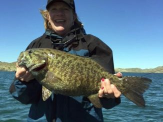 Havasu Yields Another Colorado River record for Arizona