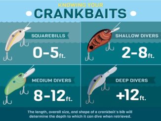 How to Get the Most out of Your Crankbaits