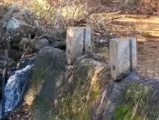 For the first time in at least 183 years native alewife and blueback herring are swimming upstream beyond the former Tack Factory dam. Removing this dam in Norwell, Massachusetts