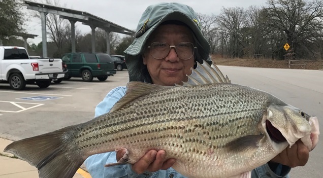 Record setting hybrid striped bass