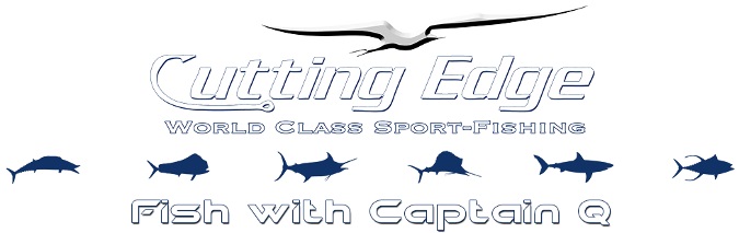 Step Up For Sailfish Tactics