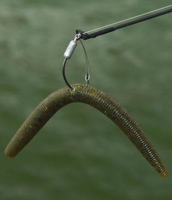 Wacky Worm Rig Often Tempts Finicky Bass