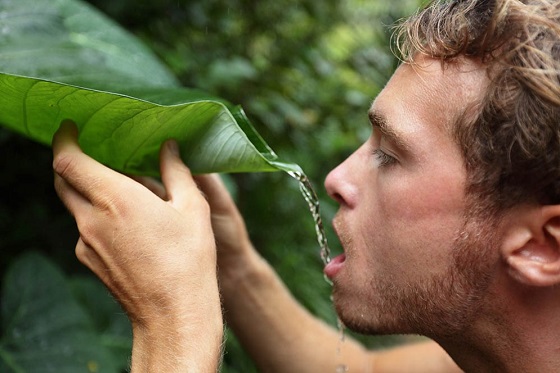 Why Learn to Find and Purify Water