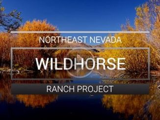 Wildlife Habitat Protected, Access Improved in Nevada