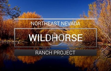 Wildlife Habitat Protected, Access Improved in Nevada