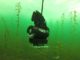 Aqua-Vu XD Camera Engineered for Versatile Underwater Viewing