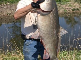 Michigan Bigmouth Buffalo Record