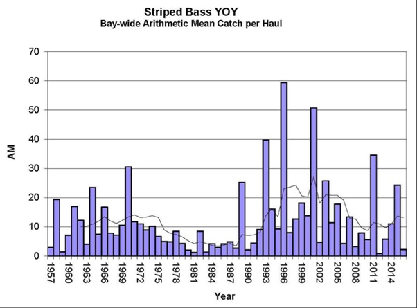 Chesapeake Bay Commercial Interests