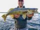 Favorite Weedy Walleye Tactic