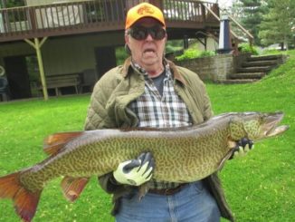 Giant Record Tiger Musky Taken On Goose Lake in Illinois