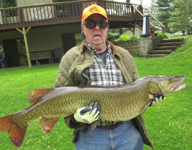 Giant Record Tiger Musky Taken On Goose Lake in Illinois