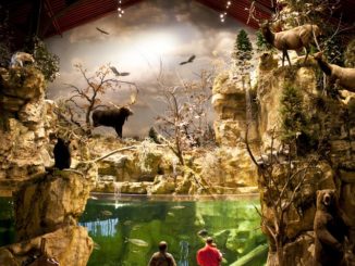 Record Fish Calls East Peoria Bass Pro Shop it's New Home