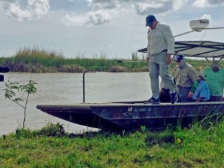 Reversing Land Loss and Improving Fish Habitat in the Bayou