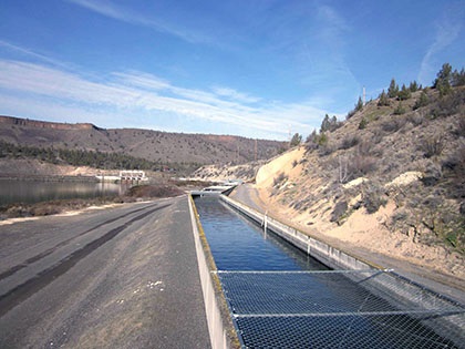 Salmon Recovery on the Columbia River