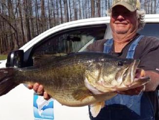 Second 15-Pounder for ShareLunker Program Caught