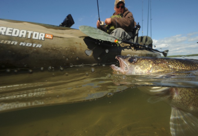 walleye seasons