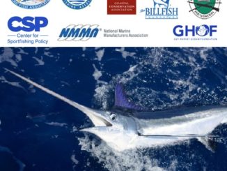 Senate Commerce Committee Advances Billfish Conservation Act