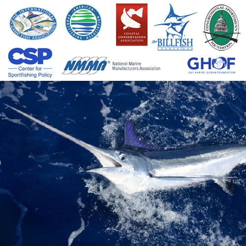 Senate Commerce Committee Advances Billfish Conservation Act