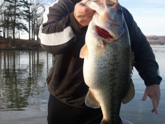 Strike King 6XD Crankbait Wins Over A 12 Pounder