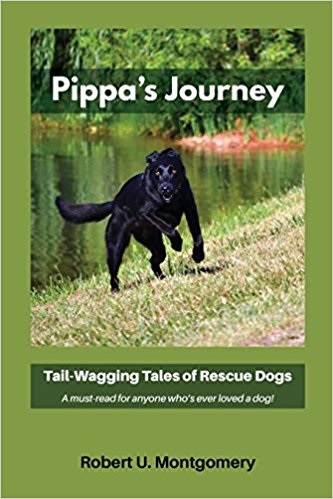 Tail-Wagging Tales of Rescue Dogs