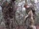 Youth's First Turkey Hunt Ends With A Coyote