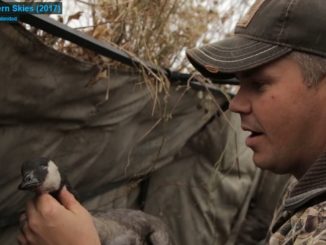 DU TV this week: epic goose hunting from Canada