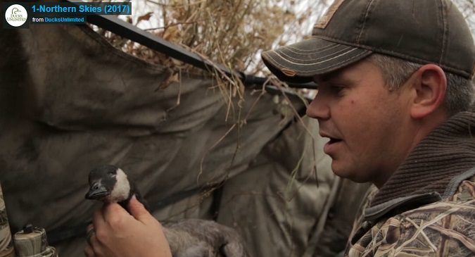 DU TV this week: epic goose hunting from Canada