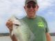 Drop-Shot River Crappie and Next Edition of CrappieNOW