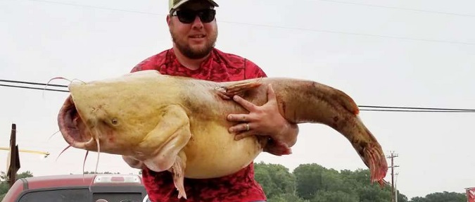 National Noodling Record With A 85-pound Catfish