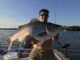 New Illinois Record Hybrid Striped Bass