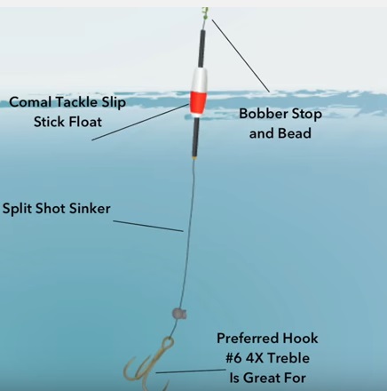 The 3 Top Catfish Rigs