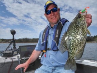 Cabbage Crappie Patterns