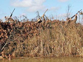 Duck Hunting Concealment Secrets