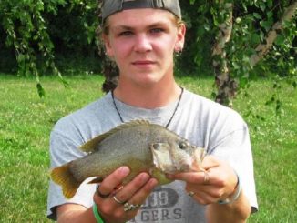 Greentop angler catches state-record green sunfish