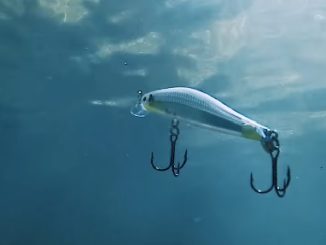 Rapala RipStop Jerkbait - NEW From ICAST