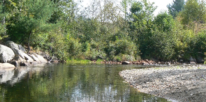 September Trout fishing and Goose Hunting in the North Country; Almost