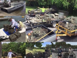 228 Derelict Crab Traps Pulled from Tampa Bay