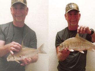 Bowfisherman Claims Two Arkansas Records in One Night