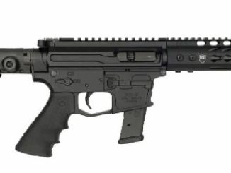 Dark Storm's Hailstorm 9mm pistol and carbine gives AR enthusiasts a lot of reasons to add these platforms to their collection, first of all, using GLOCK® magazines.