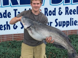 Delaware Records A Record Catfish